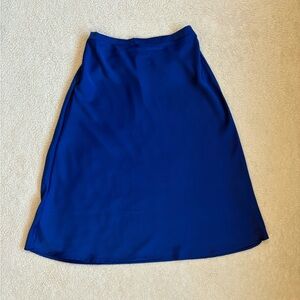 Elegant Blue Women's Skirt
